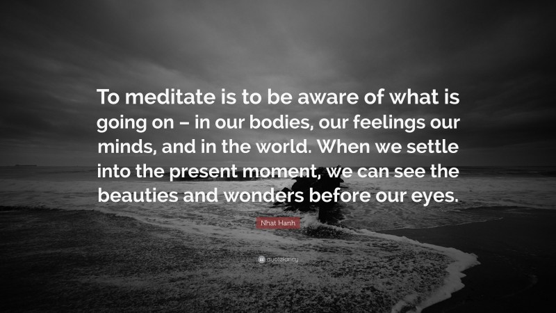 Nhat Hanh Quote: “To meditate is to be aware of what is going on – in our bodies, our feelings our minds, and in the world. When we settle into the present moment, we can see the beauties and wonders before our eyes.”