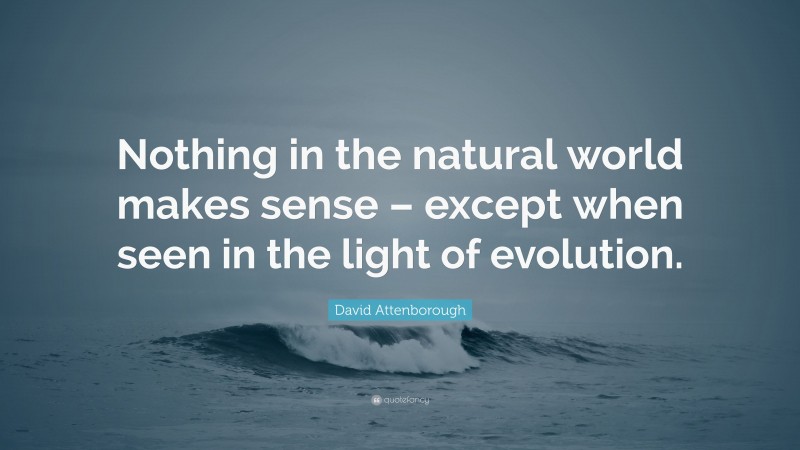 David Attenborough Quote: “Nothing in the natural world makes sense – except when seen in the light of evolution.”