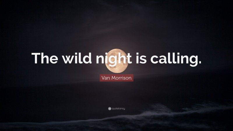 Van Morrison Quote: “The wild night is calling.”