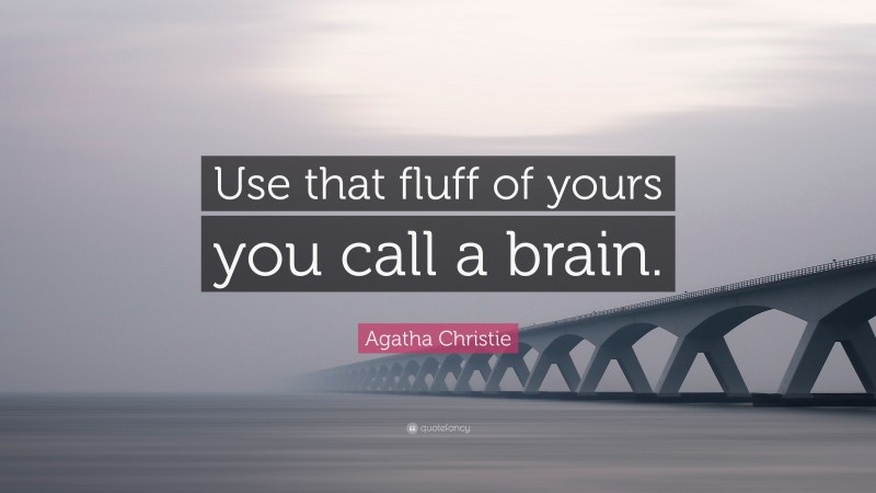 Agatha Christie Quote: “Use that fluff of yours you call a brain.”