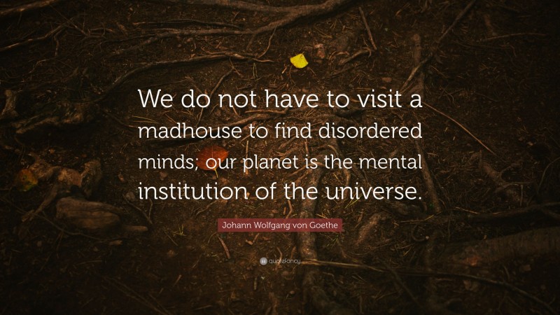 Johann Wolfgang von Goethe Quote: “We do not have to visit a madhouse to find disordered minds; our planet is the mental institution of the universe.”