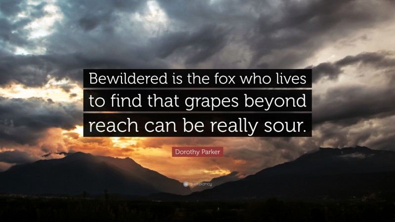 Dorothy Parker Quote: “Bewildered is the fox who lives to find that grapes beyond reach can be really sour.”
