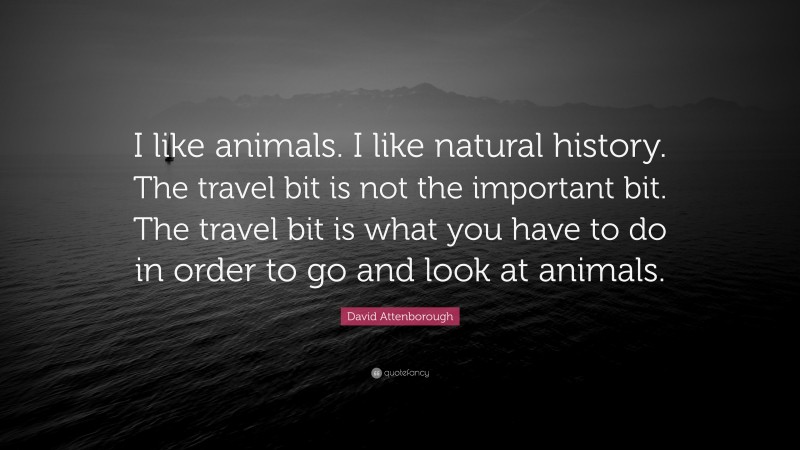 David Attenborough Quote: “I like animals. I like natural history. The travel bit is not the important bit. The travel bit is what you have to do in order to go and look at animals.”