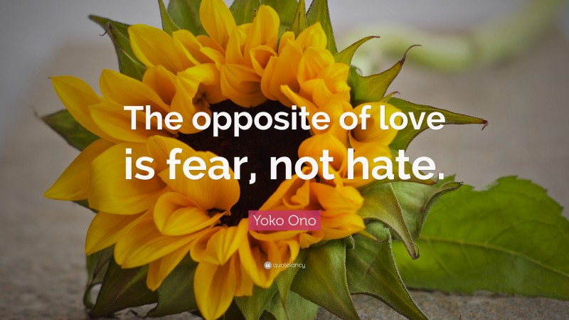 Yoko Ono Quote: “The opposite of love is fear, not hate.”