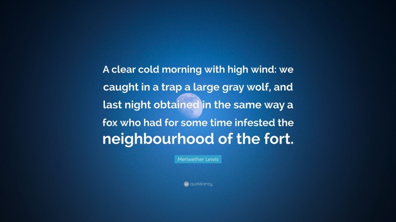 Meriwether Lewis Quote: “A clear cold morning with high wind: we caught in a trap a large gray wolf, and last night obtained in the same way a fox who had for some time infested the neighbourhood of the fort.”