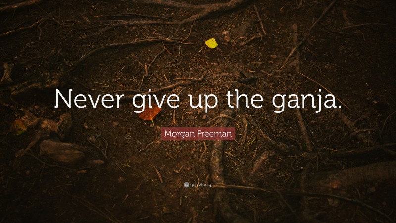 Morgan Freeman Quote: “Never give up the ganja.”