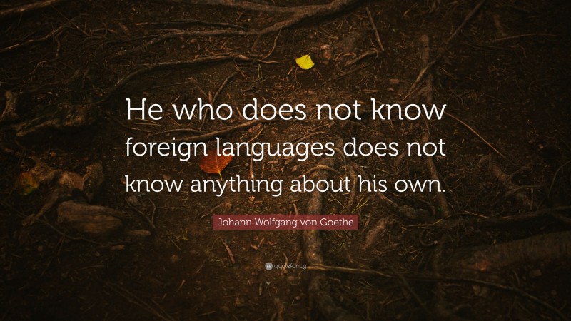 Johann Wolfgang von Goethe Quote: “He who does not know foreign languages does not know anything about his own.”