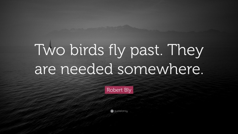 Robert Bly Quote: “Two birds fly past. They are needed somewhere.”