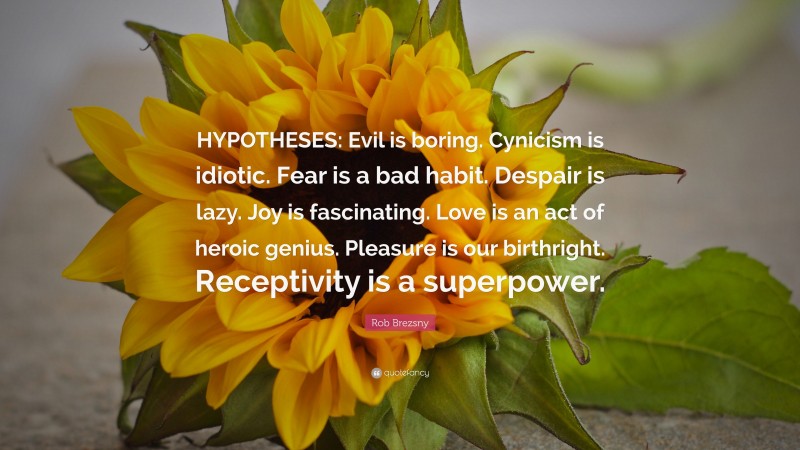 Rob Brezsny Quote: “HYPOTHESES: Evil is boring. Cynicism is idiotic. Fear is a bad habit. Despair is lazy. Joy is fascinating. Love is an act of heroic genius. Pleasure is our birthright. Receptivity is a superpower.”
