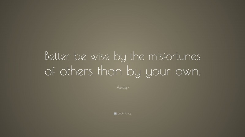 Aesop Quote: “Better be wise by the misfortunes of others than by your own.”