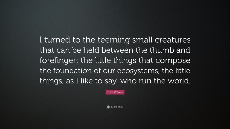 E. O. Wilson Quote: “I turned to the teeming small creatures that can be held between the thumb and forefinger: the little things that compose the foundation of our ecosystems, the little things, as I like to say, who run the world.”