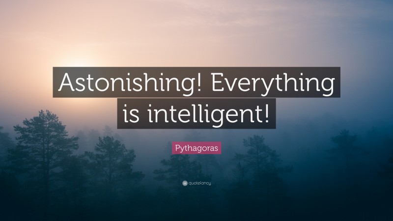 Pythagoras Quote: “Astonishing! Everything is intelligent!”