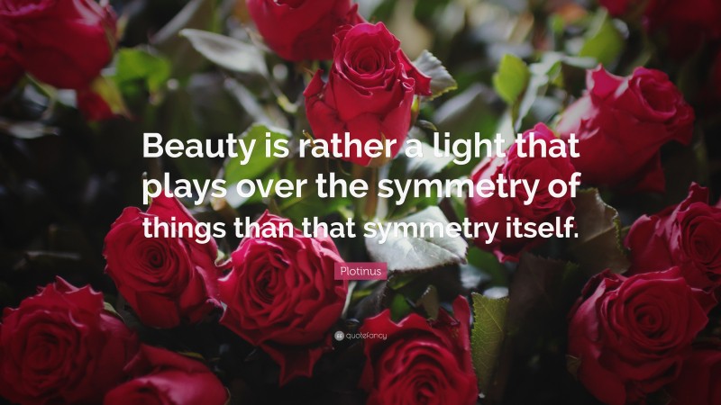 Plotinus Quote: “Beauty is rather a light that plays over the symmetry of things than that symmetry itself.”
