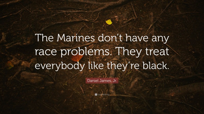 Daniel James, Jr. Quote: “The Marines don’t have any race problems. They treat everybody like they’re black.”