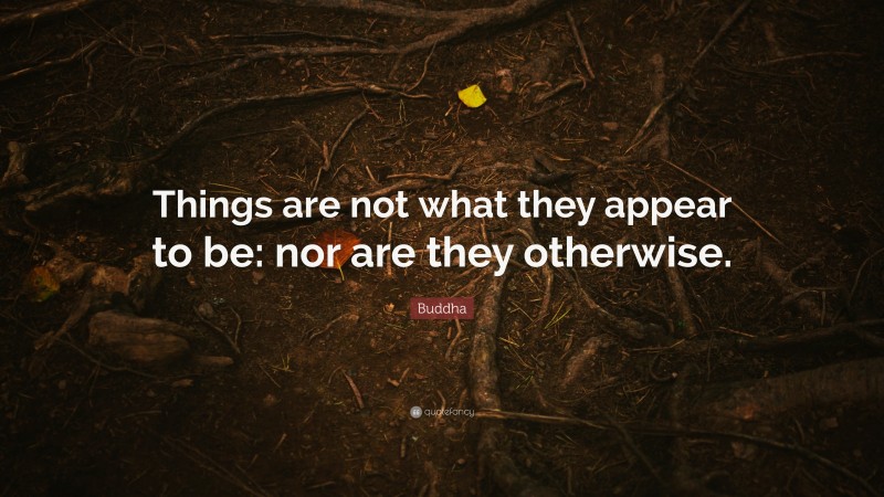 Buddha Quote: “Things are not what they appear to be: nor are they otherwise.”