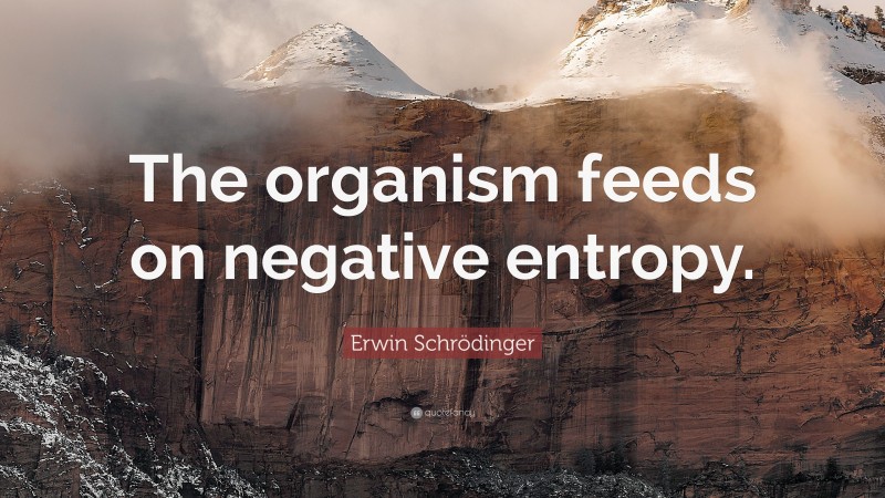 Erwin Schrödinger Quote: “The organism feeds on negative entropy.”