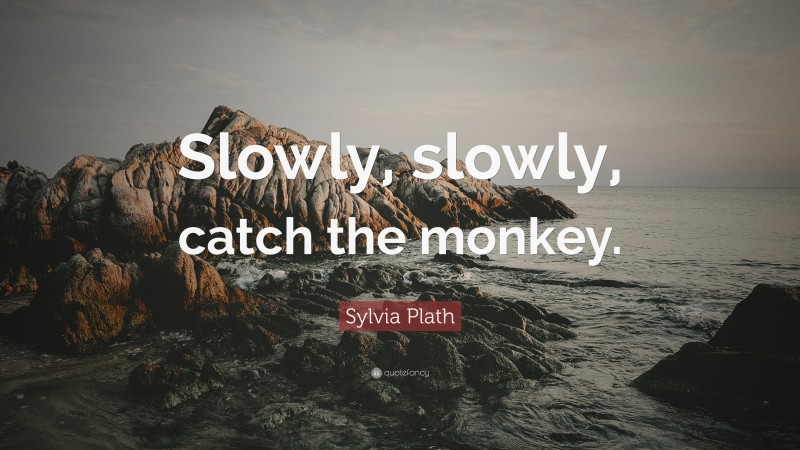 Sylvia Plath Quote: “Slowly, slowly, catch the monkey.”