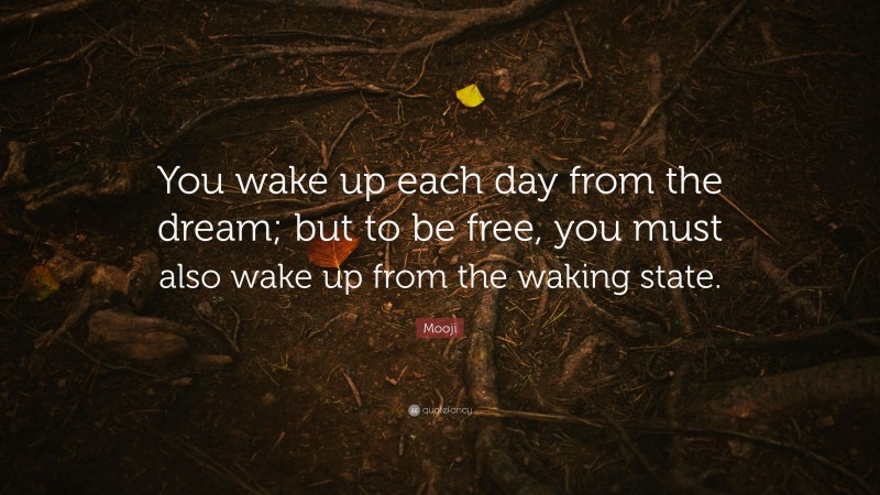 Mooji Quote: “You wake up each day from the dream; but to be free, you must also wake up from the waking state.”