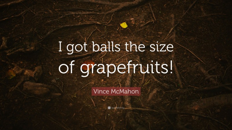 Vince McMahon Quote: “I got balls the size of grapefruits!”