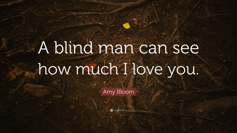 Amy Bloom Quote: “A blind man can see how much I love you.”