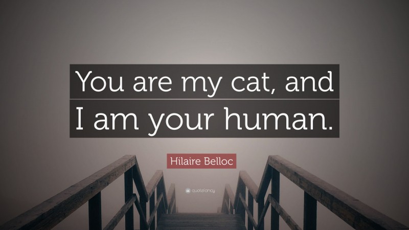 Hilaire Belloc Quote: “You are my cat, and I am your human.”