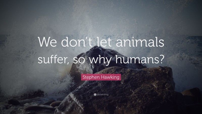 Stephen Hawking Quote: “We don’t let animals suffer, so why humans?”