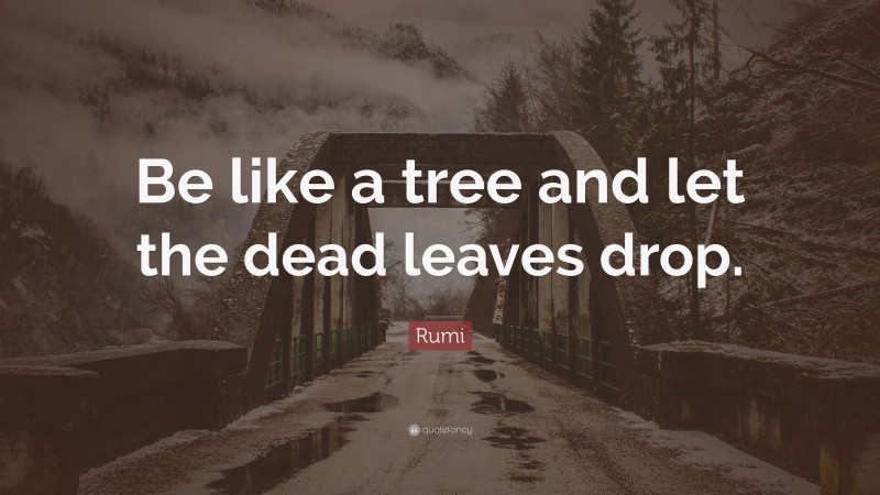 Rumi Quote: “Be like a tree and let the dead leaves drop.”