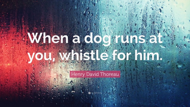 Henry David Thoreau Quote: “When a dog runs at you, whistle for him.”