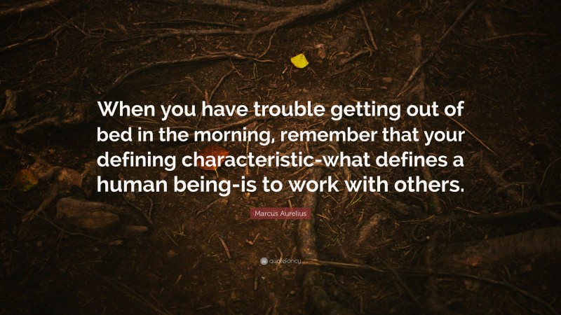 Marcus Aurelius Quote: “When you have trouble getting out of bed in the morning, remember that your defining characteristic-what defines a human being-is to work with others.”