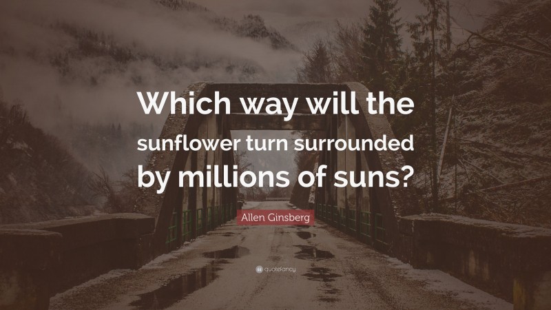 Allen Ginsberg Quote: “Which way will the sunflower turn surrounded by millions of suns?”