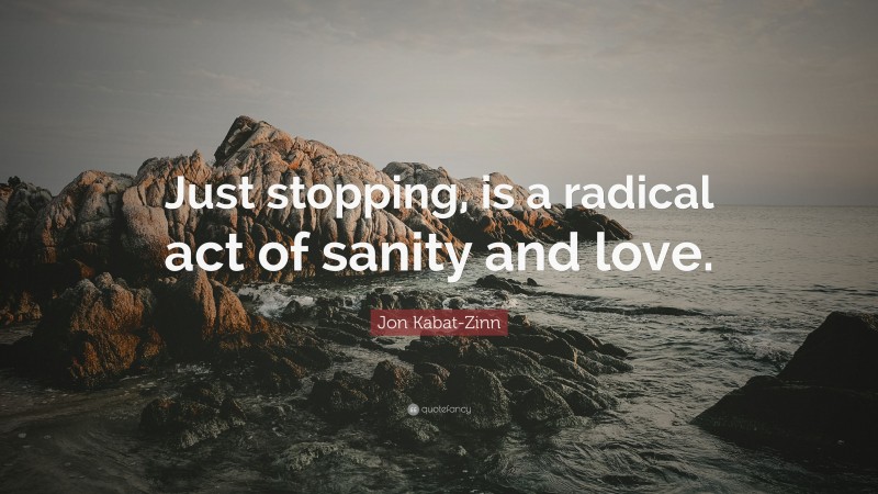 Jon Kabat-Zinn Quote: “Just stopping, is a radical act of sanity and love.”
