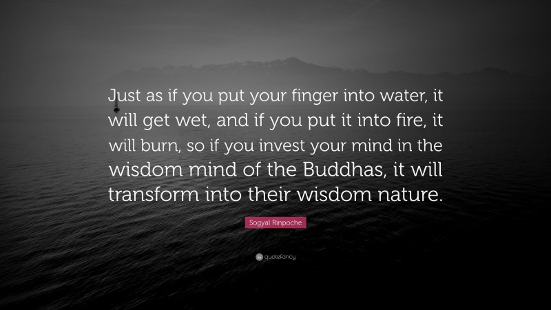 Sogyal Rinpoche Quote: “Just as if you put your finger into water, it will get wet, and if you put it into fire, it will burn, so if you invest your mind in the wisdom mind of the Buddhas, it will transform into their wisdom nature.”