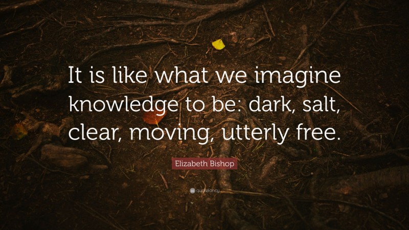 Elizabeth Bishop Quote: “It is like what we imagine knowledge to be: dark, salt, clear, moving, utterly free.”