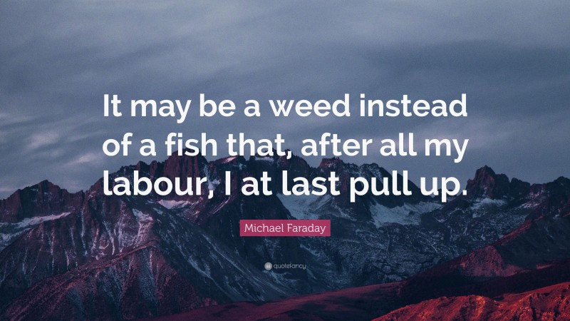 Michael Faraday Quote: “It may be a weed instead of a fish that, after all my labour, I at last pull up.”