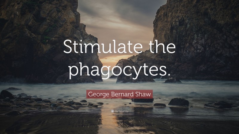 George Bernard Shaw Quote: “Stimulate the phagocytes.”