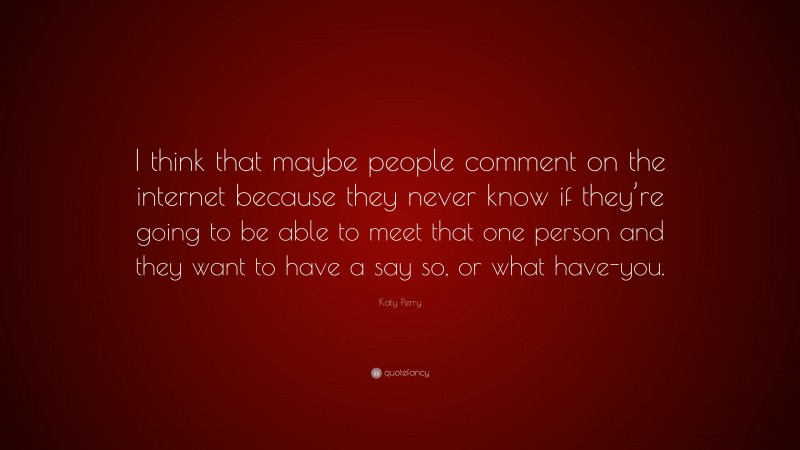 Katy Perry Quote: “I think that maybe people comment on the internet because they never know if they’re going to be able to meet that one person and they want to have a say so, or what have-you.”