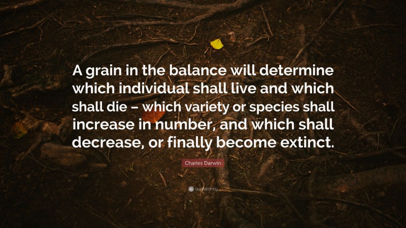 Charles Darwin Quote: “A grain in the balance will determine which individual shall live and which shall die – which variety or species shall increase in number, and which shall decrease, or finally become extinct.”