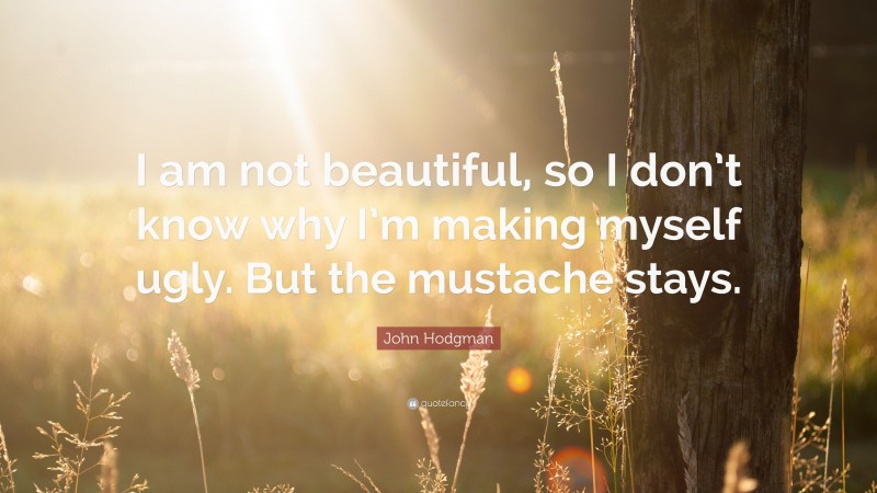 John Hodgman Quote: “I am not beautiful, so I don’t know why I’m making myself ugly. But the mustache stays.”
