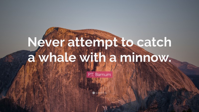 P.T. Barnum Quote: “Never attempt to catch a whale with a minnow.”