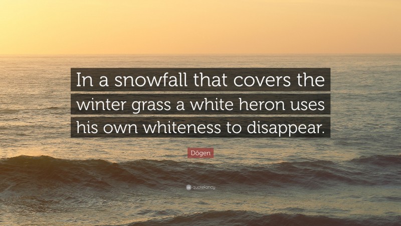 Dōgen Quote: “In a snowfall that covers the winter grass a white heron uses his own whiteness to disappear.”