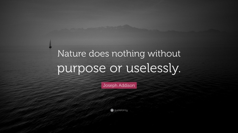 Joseph Addison Quote: “Nature does nothing without purpose or uselessly.”