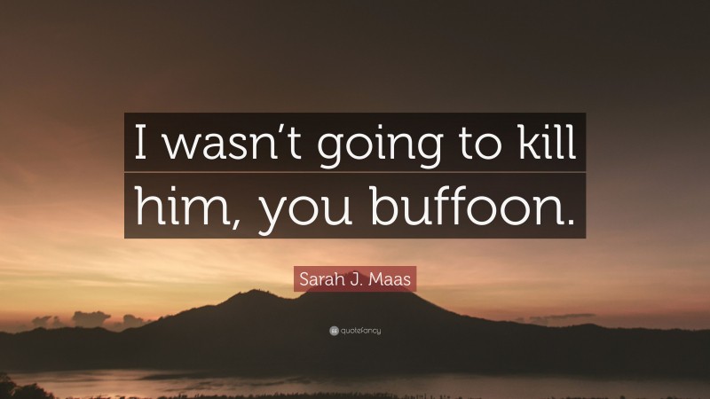 Sarah J. Maas Quote: “I wasn’t going to kill him, you buffoon.”