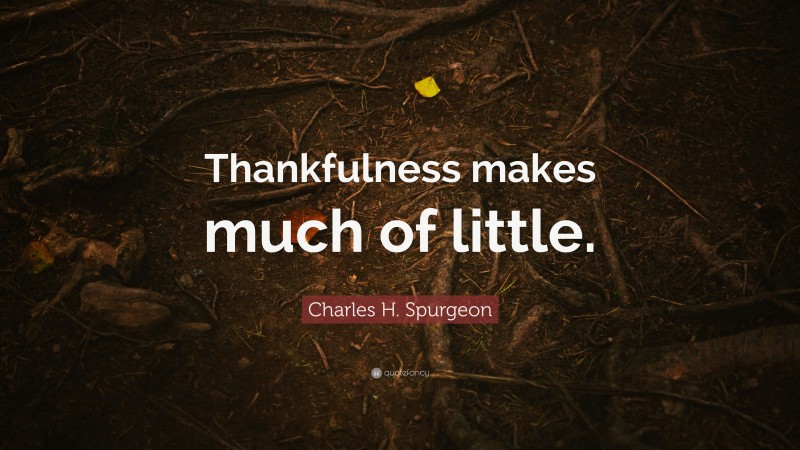 Charles H. Spurgeon Quote: “Thankfulness makes much of little.”