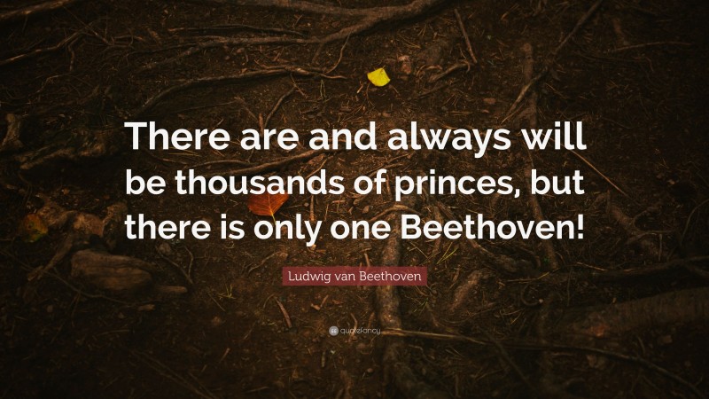 Ludwig van Beethoven Quote: “There are and always will be thousands of princes, but there is only one Beethoven!”