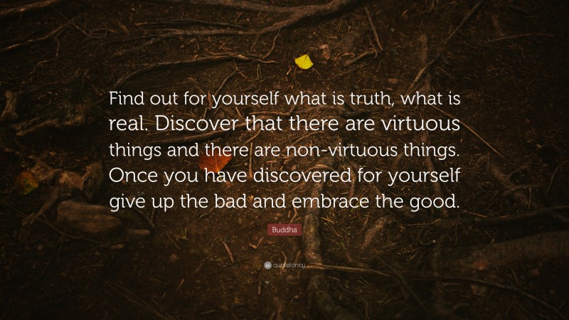 Buddha Quote: “Find out for yourself what is truth, what is real. Discover that there are virtuous things and there are non-virtuous things. Once you have discovered for yourself give up the bad and embrace the good.”