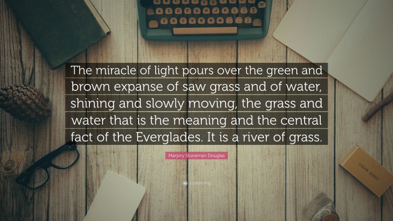 Marjory Stoneman Douglas Quote: “The miracle of light pours over the green and brown expanse of saw grass and of water, shining and slowly moving, the grass and water that is the meaning and the central fact of the Everglades. It is a river of grass.”