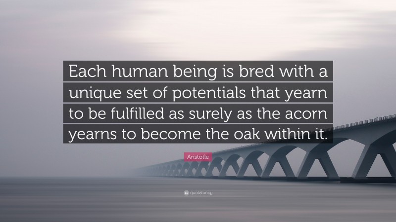 Aristotle Quote: “Each human being is bred with a unique set of potentials that yearn to be fulfilled as surely as the acorn yearns to become the oak within it.”