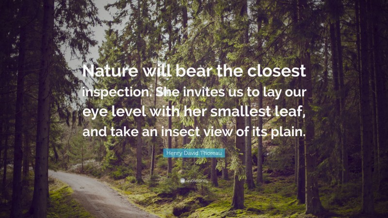 Henry David Thoreau Quote: “Nature will bear the closest inspection. She invites us to lay our eye level with her smallest leaf, and take an insect view of its plain.”