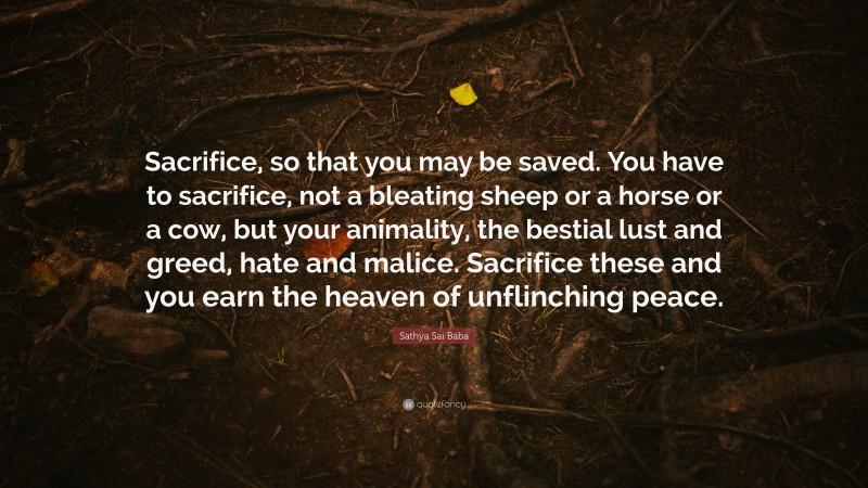 Sathya Sai Baba Quote: “Sacrifice, so that you may be saved. You have to sacrifice, not a bleating sheep or a horse or a cow, but your animality, the bestial lust and greed, hate and malice. Sacrifice these and you earn the heaven of unflinching peace.”