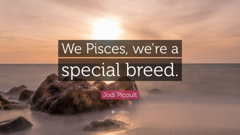 Jodi Picoult Quote: “We Pisces, we’re a special breed.”